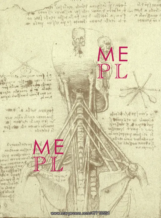 : Spinal Column Study : Spinal Column Study