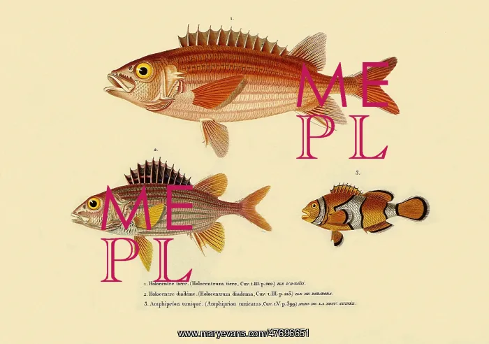  : Three Spined Fish