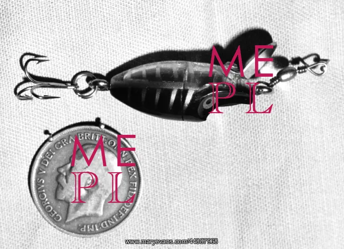 : SPINNING FISHING LURE : SPINNING FISHING LURE