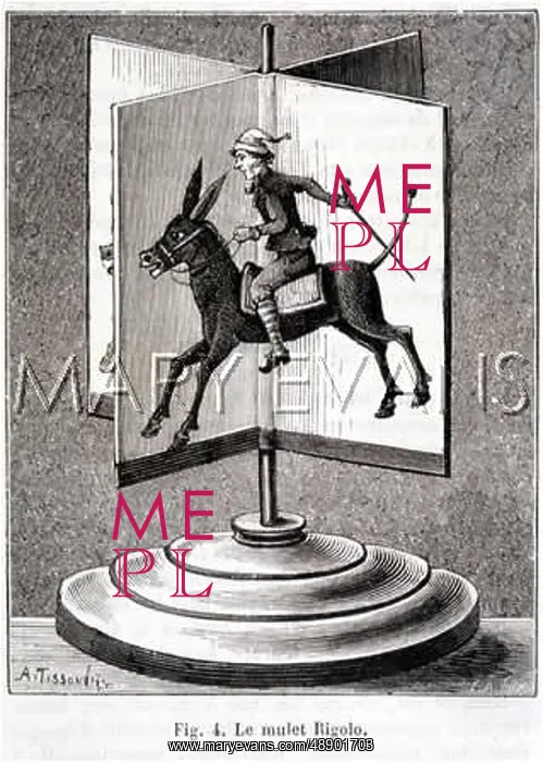 : THE SPINNING MULE : THE SPINNING MULE
