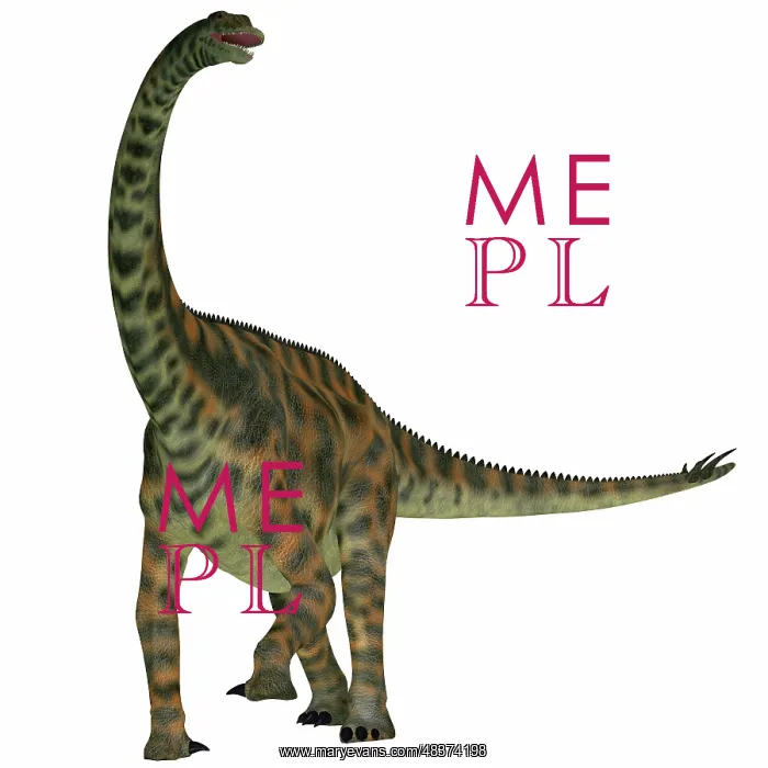 : Spinophorosaurus is a sauropod dinosaur from the Jurassic ? : Spinophorosaurus is a sauropod dinosaur from the Jurassic ?