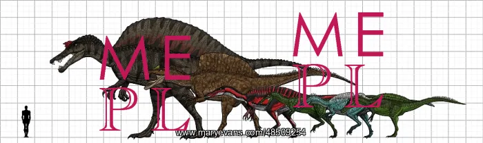 : Spinosauridae size chart : Spinosauridae size chart