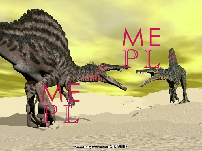 : Two Spinosaurus dinosaur fighting in the desert : Two Spinosaurus dinosaur fighting in the desert