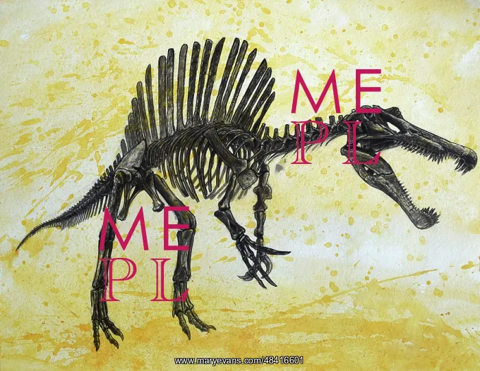 : Spinosaurus dinosaur skeleton : Spinosaurus dinosaur skeleton