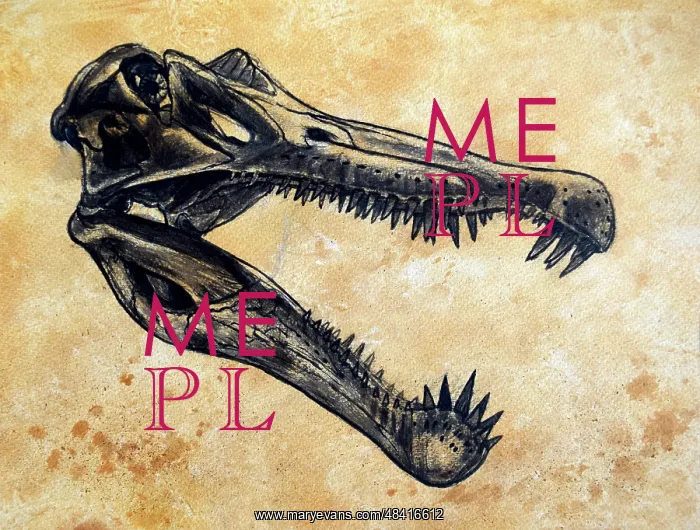 : Spinosaurus dinosaur skull : Spinosaurus dinosaur skull