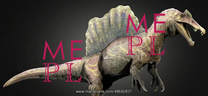 : Spinosaurus dinosaur, side view : Spinosaurus dinosaur, side view