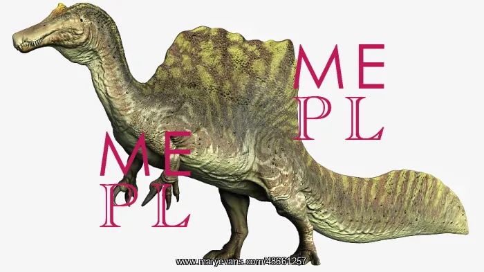 : Spinosaurus dinosaur, side view on white background : Spinosaurus dinosaur, side view on white background