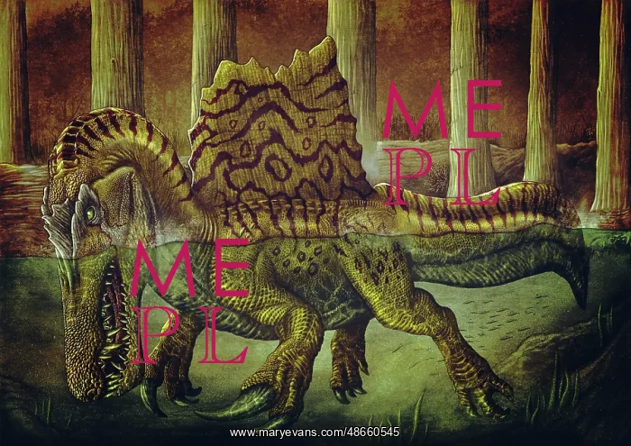 : Spinosaurus in the swamp : Spinosaurus in the swamp