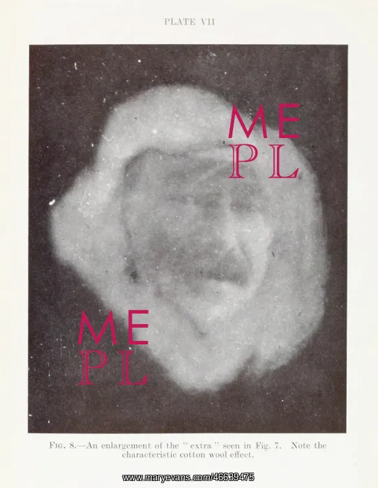 : Spirit head in shroud or mist : Spirit head in shroud or mist