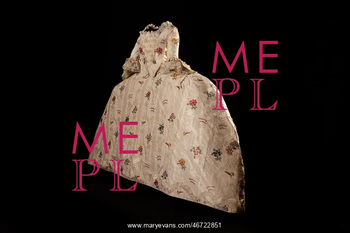 : The Spitalfields mantua, 1750-5 : The Spitalfields mantua, 1750-5