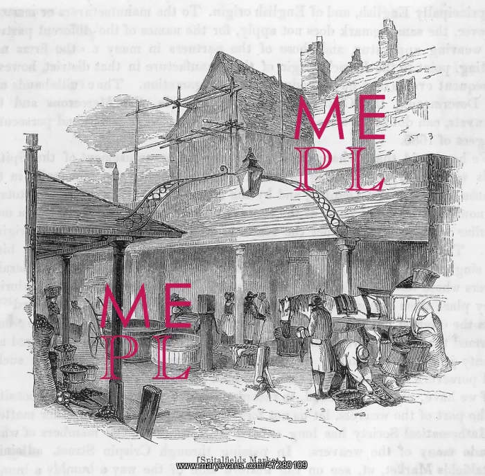  : SPITALFIELDS MARKET / 1841