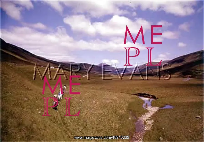 : THE SPITALL OF GLENSHEE : THE SPITALL OF GLENSHEE