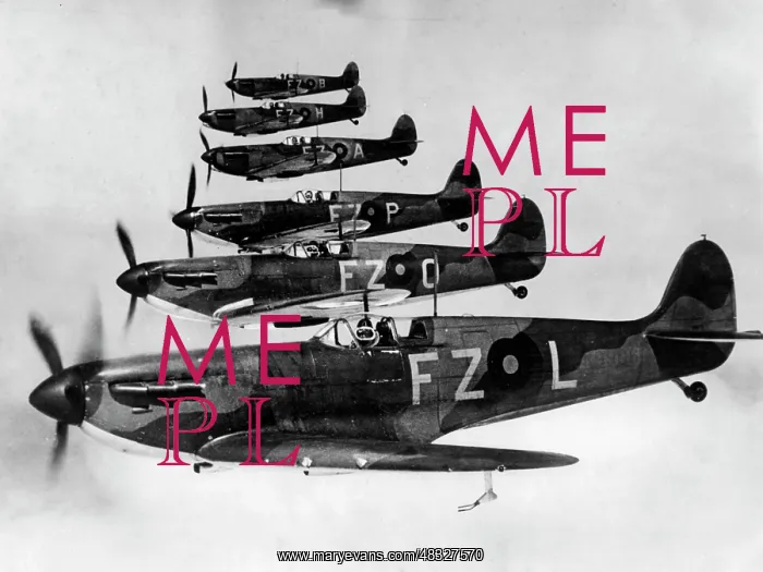 : Spitfire of the Royal Air Force, 1940 : Spitfire of the Royal Air Force, 1940