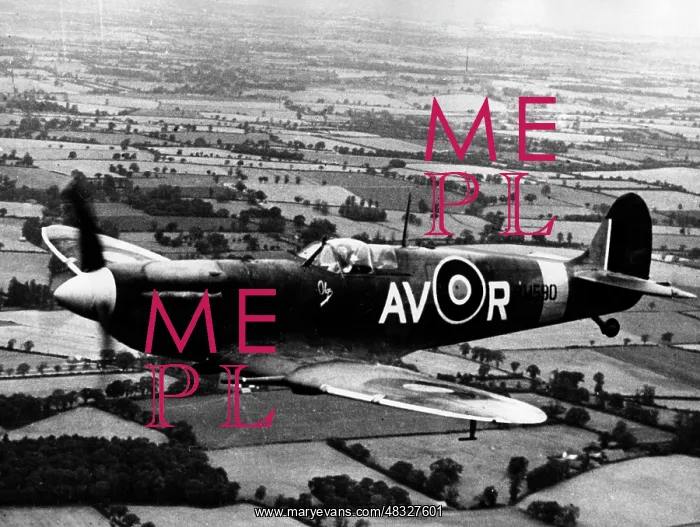: Spitfire of the Royal Air Force, 1940 : Spitfire of the Royal Air Force, 1940