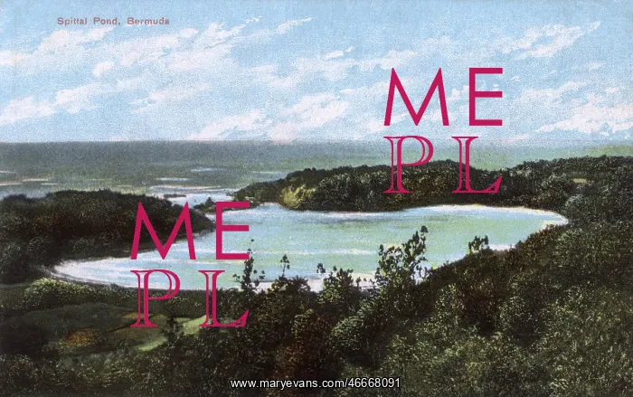: Spittal Pond, Bermuda : Spittal Pond, Bermuda