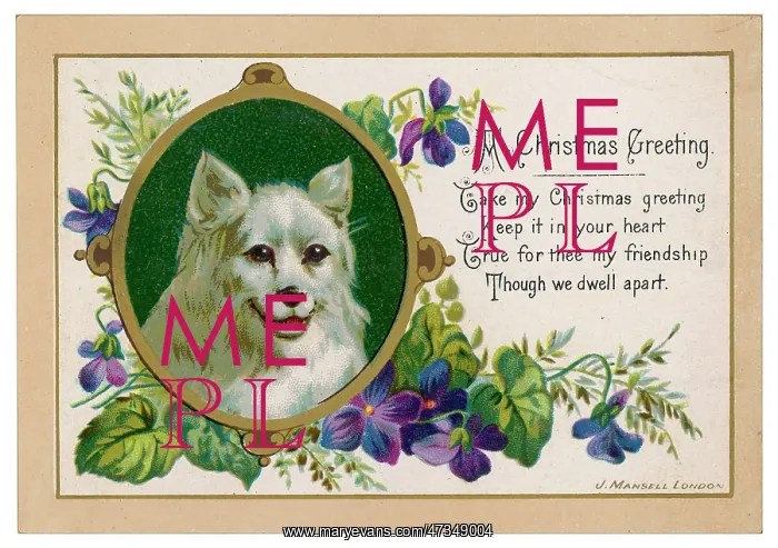 : SPITZ ON XMAS CARD : SPITZ ON XMAS CARD