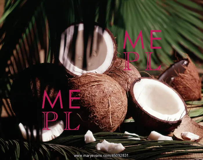 : Whole and Split Coconuts with Palm Fronds : Whole and Split Coconuts with Palm Fronds