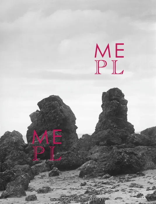 : THE SPLIT ROCKS : THE SPLIT ROCKS