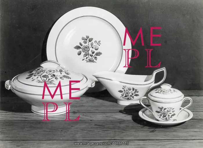 : SPODE DINNER SERVICE : SPODE DINNER SERVICE