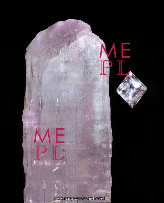 : Spodumene. A specimen of the mineral spodumene (lithium aluminium silicate) : Spodumene. A specimen of the mineral spodumene (lithium aluminium silicate)