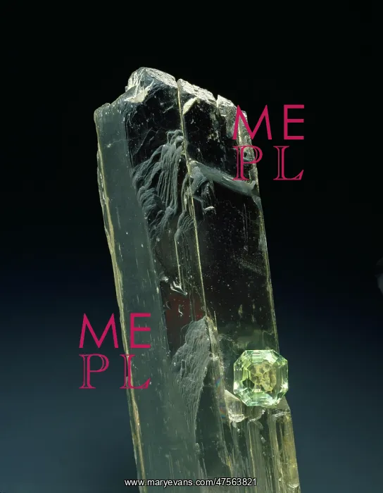: Spodumene crystal and cut stone : Spodumene crystal and cut stone