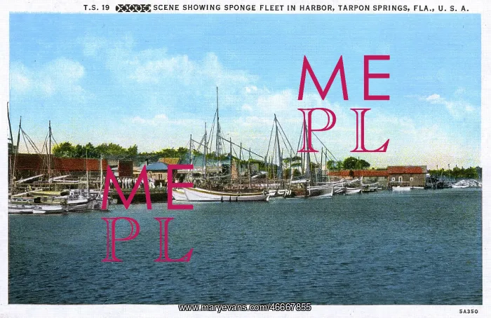 : Sponge Fleet in Harbour - Tarpon Springs, Florida, USA : Sponge Fleet in Harbour - Tarpon Springs, Florida, USA