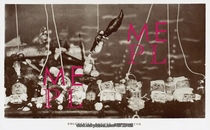 : Spoof postcard on the Colchester Native Oyster Beds ! : Spoof postcard on the Colchester Native Oyster Beds !