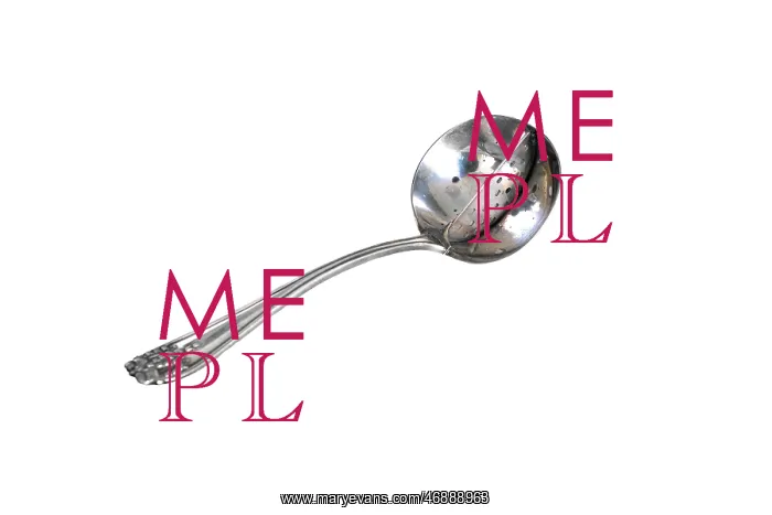  : Spoon Strainer