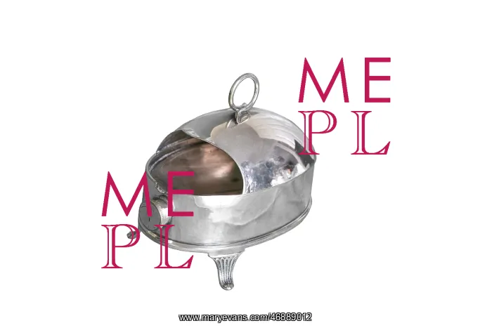  : Spoon Warmer