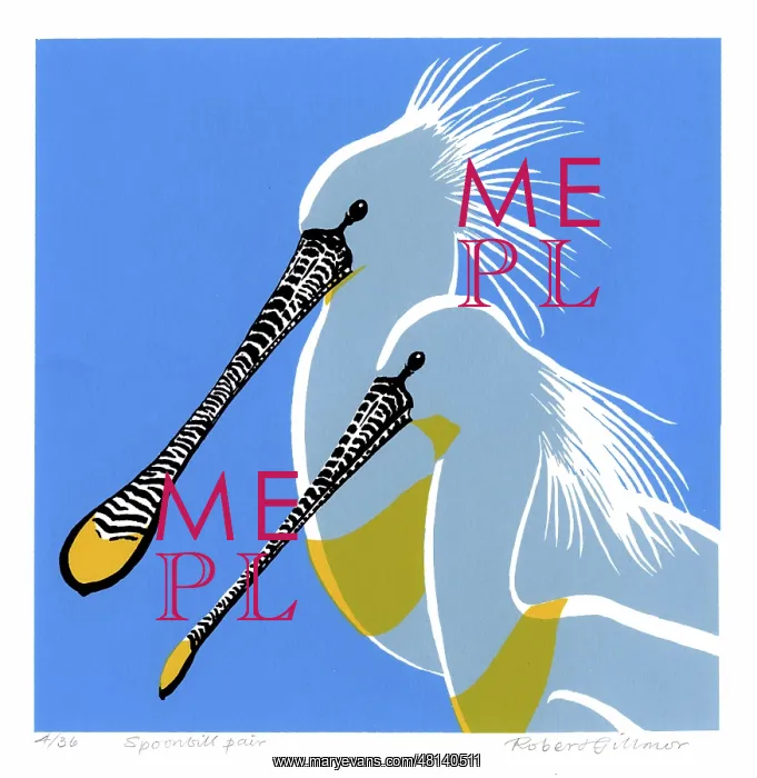 : Spoonbill Pair - screenprint by Robert Gillmor : Spoonbill Pair - screenprint by Robert Gillmor
