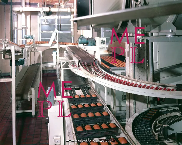 : Spooner Travelling Oven : Spooner Travelling Oven