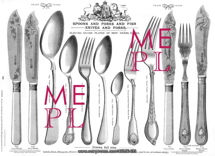 : Spoons, forks and fish knives, Plate 220 : Spoons, forks and fish knives, Plate 220