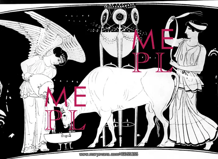 : sport, olympic games, ancient world, image of : sport, olympic games, ancient world, image of