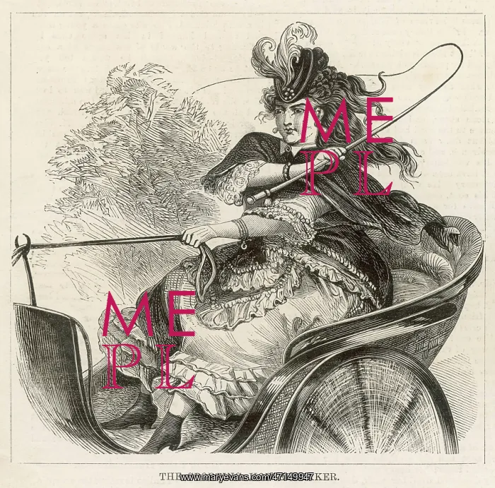 : A sporting horsebreaker : A sporting horsebreaker