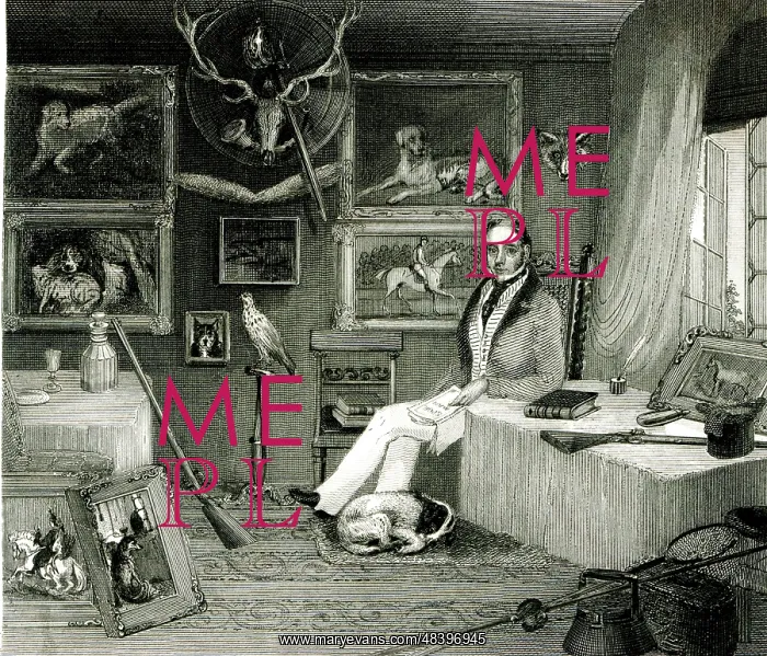  : The Sportsman's Study