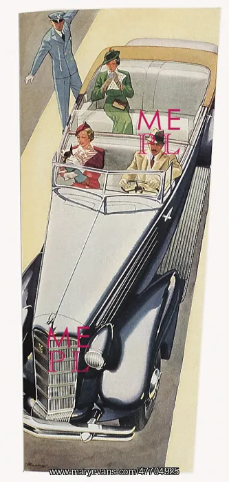 : Sporty Caddy : Sporty Caddy