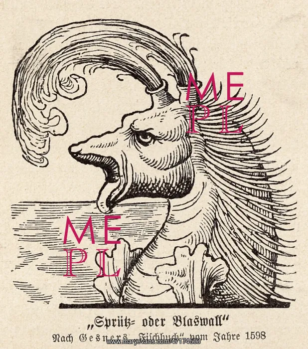 : Spouting Sea Monster : Spouting Sea Monster