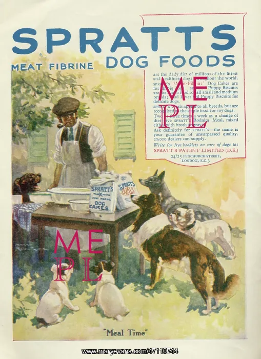 : Spratts Dog Foods advertisement : Spratts Dog Foods advertisement