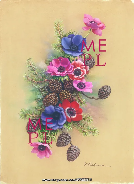  : Spray of Anemones, fir and cones