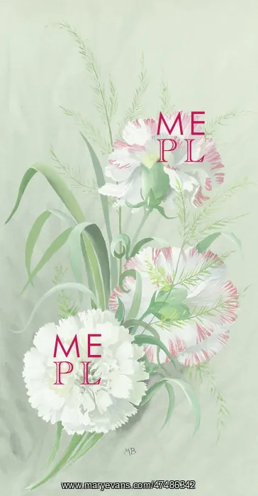  : Spray of three carnations