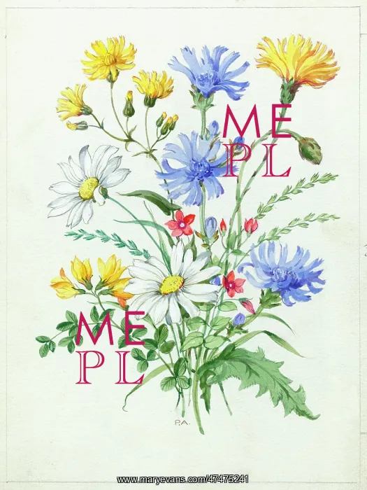  : Spray of cornflowers, etc