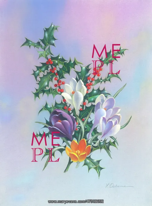  : A Spray of Crocuses and Holly