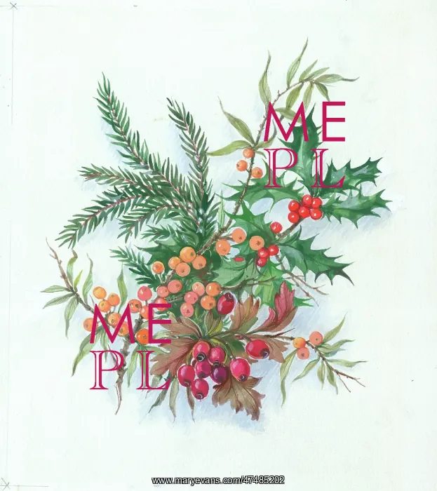  : Spray of Holly, Haws and other berries