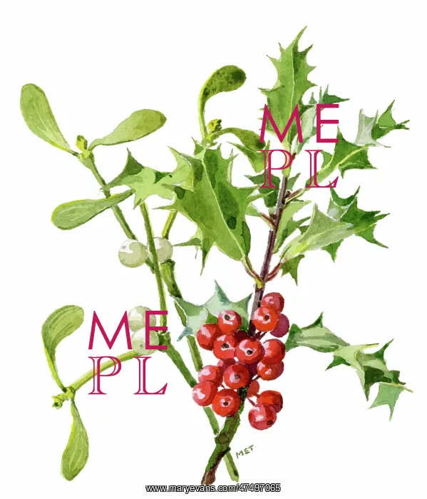  : Spray of Holly and Mistletoe