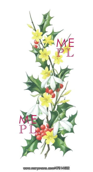  : Spray of holly, snowdrops and jessamine