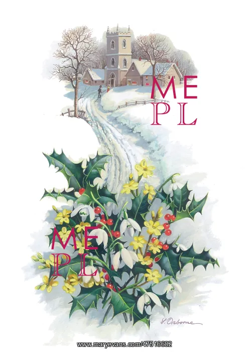 : Spray of holly, snowdrops and jessamine : Spray of holly, snowdrops and jessamine