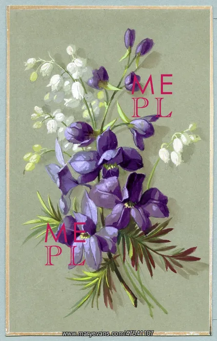 : Spray of Liles of the Valley and Violets : Spray of Liles of the Valley and Violets