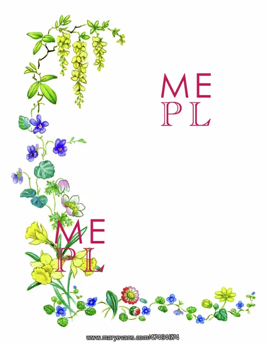 : A spray of spring flowers : A spray of spring flowers