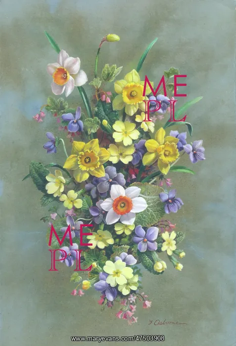 : Spray of Spring Flowers : Spray of Spring Flowers