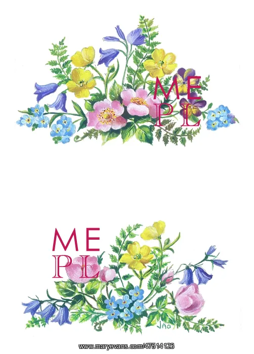: Two sprays of buttercups, harebells, pansies etc : Two sprays of buttercups, harebells, pansies etc
